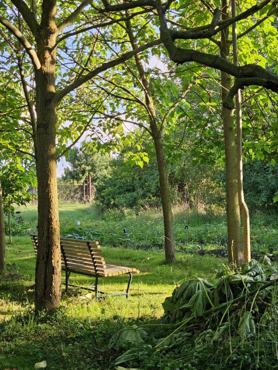 Gartenhaus Schlanstedt Huy Luaran gambar